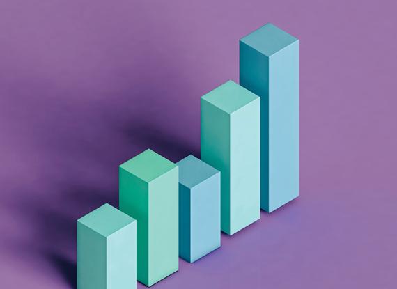 YL Development Program banner