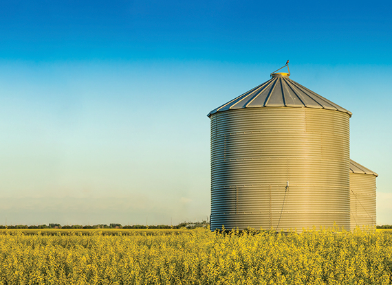 Proactive Practice Bendigo