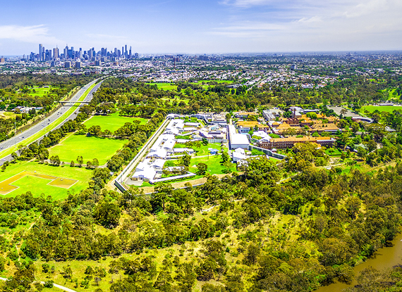 Proactive Practice: Eastern Suburbs