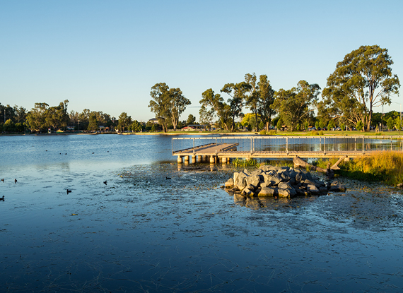 Proactive Practice: Goulburn Valley